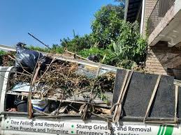 Best Yard Waste Removal  in Morristown, IN