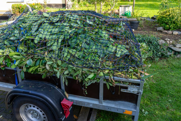 Best Residential Junk Removal  in Morristown, IN